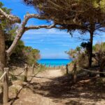 formentera testimonianze